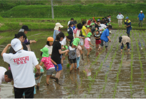 地域の方々と田植えに取り組む生徒たち